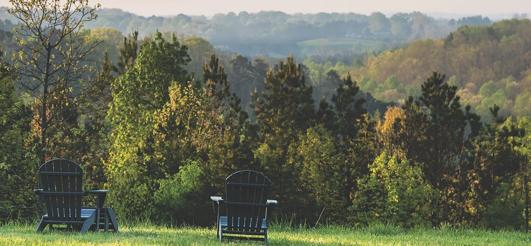 Nourishing Nature by South Park Magazine