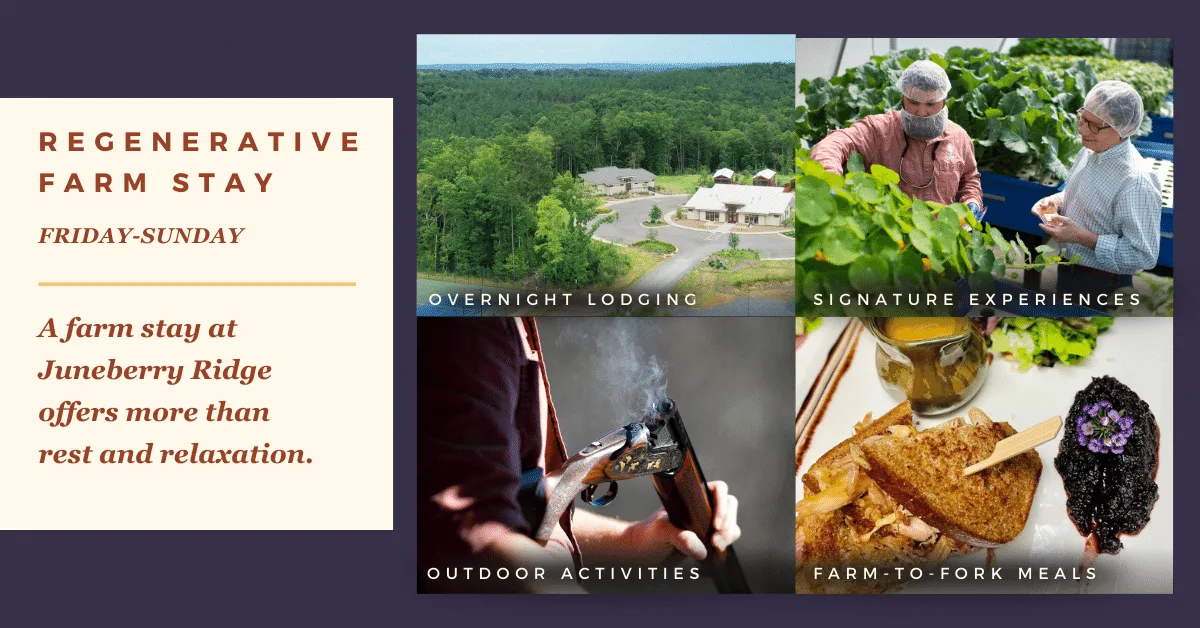 Regenerative farm stay