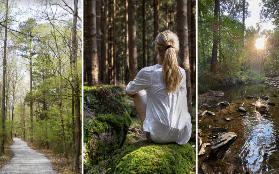 Your guide to forest bathing at Juneberry Ridge