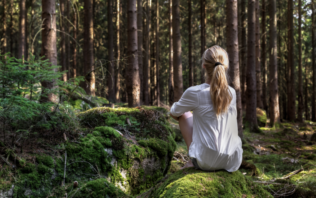 Your guide to forest bathing at Juneberry Ridge