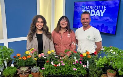 Charlotte Today Spotlights Our Annual Plant Sale