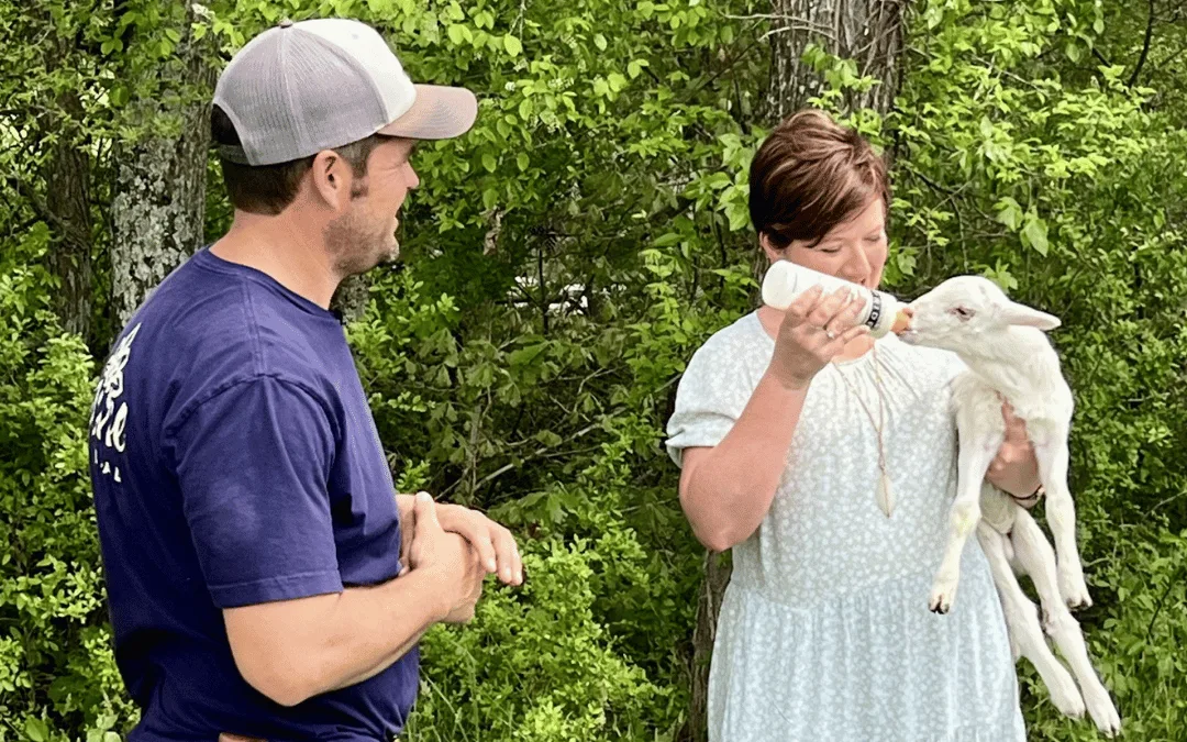 Juneberry Ridge brings peace and sustainability By WBTV QC Life