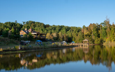 Juneberry Is a Farm Stay in North Carolina Unlike Any Other by Sunny Hubler