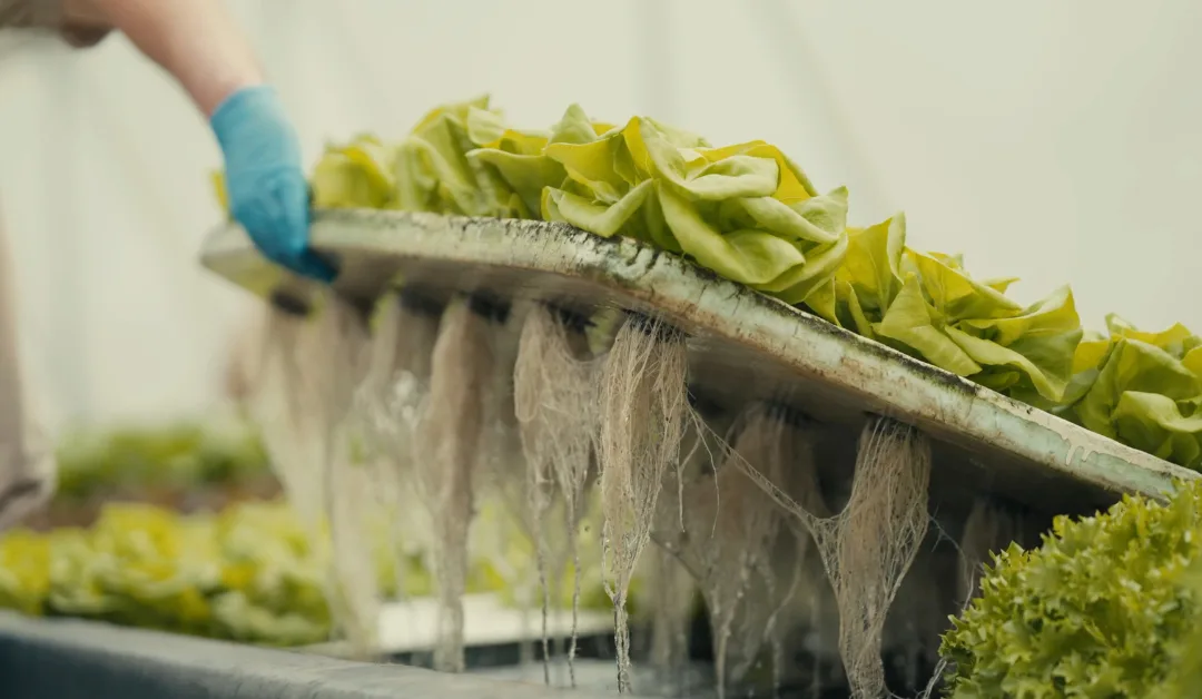 ‘Centered’ in the Carolinas: Wellness Retreats to Jumpstart the Year By Vanessa Infanzon