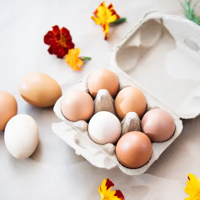Carton of eggs