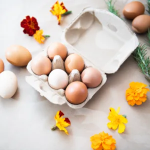 Eggs