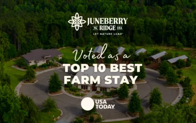 Juneberry Ridge Named #3 Best Farm Stay in the USA by USA Today’s 10Best